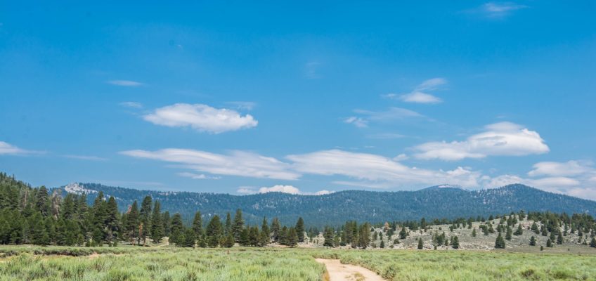 Prairie In Monache Meadows